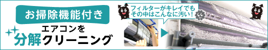 お掃除機能付きエアコンの分解クリーニング